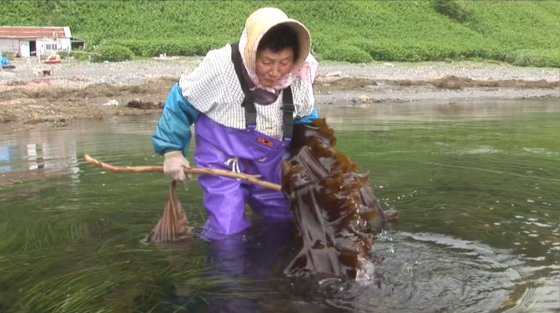 第48回 ユリばあちゃんの岬 北海道・知床半島
