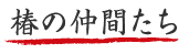 椿の仲間たち 