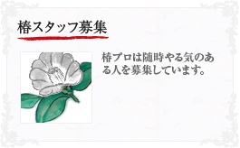 椿スタッフ募集
